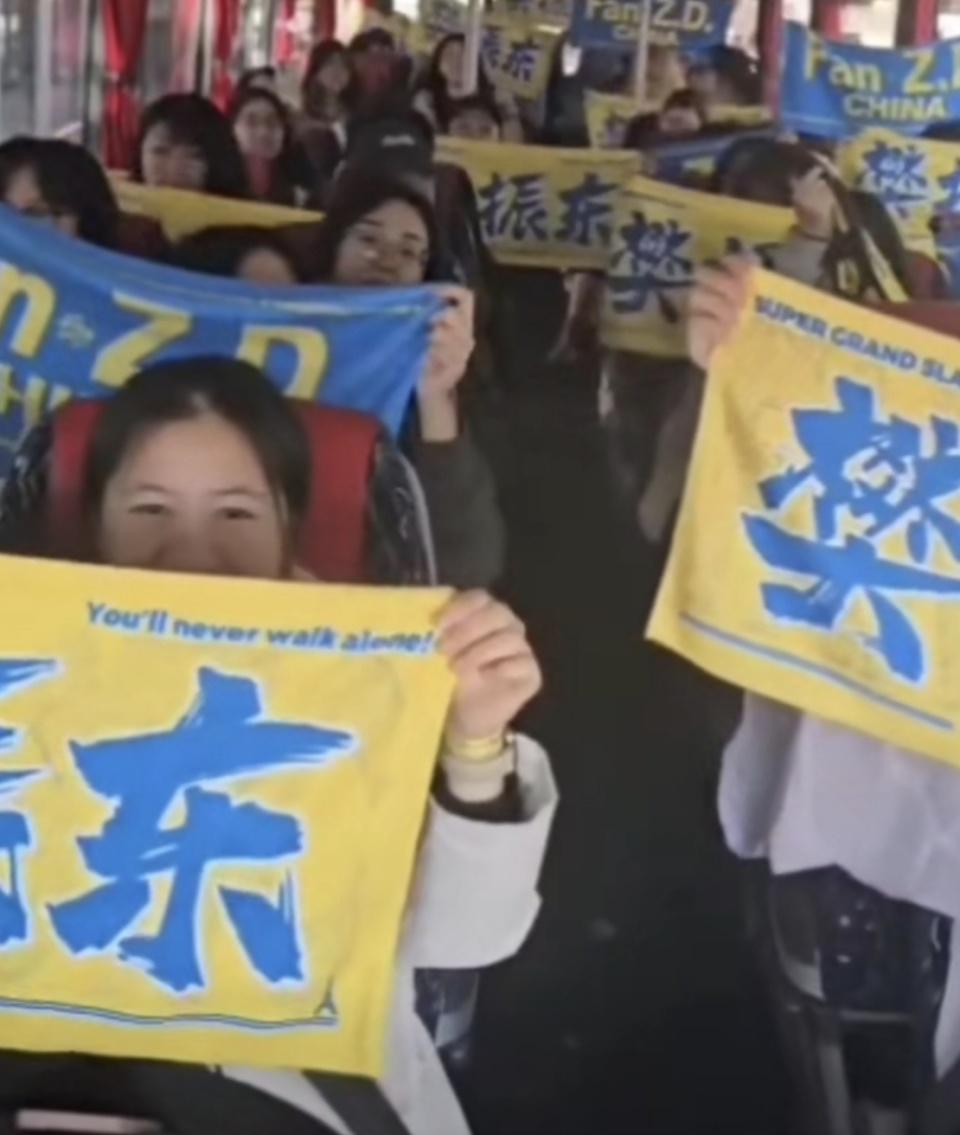 樊振东球迷, ws, vjm