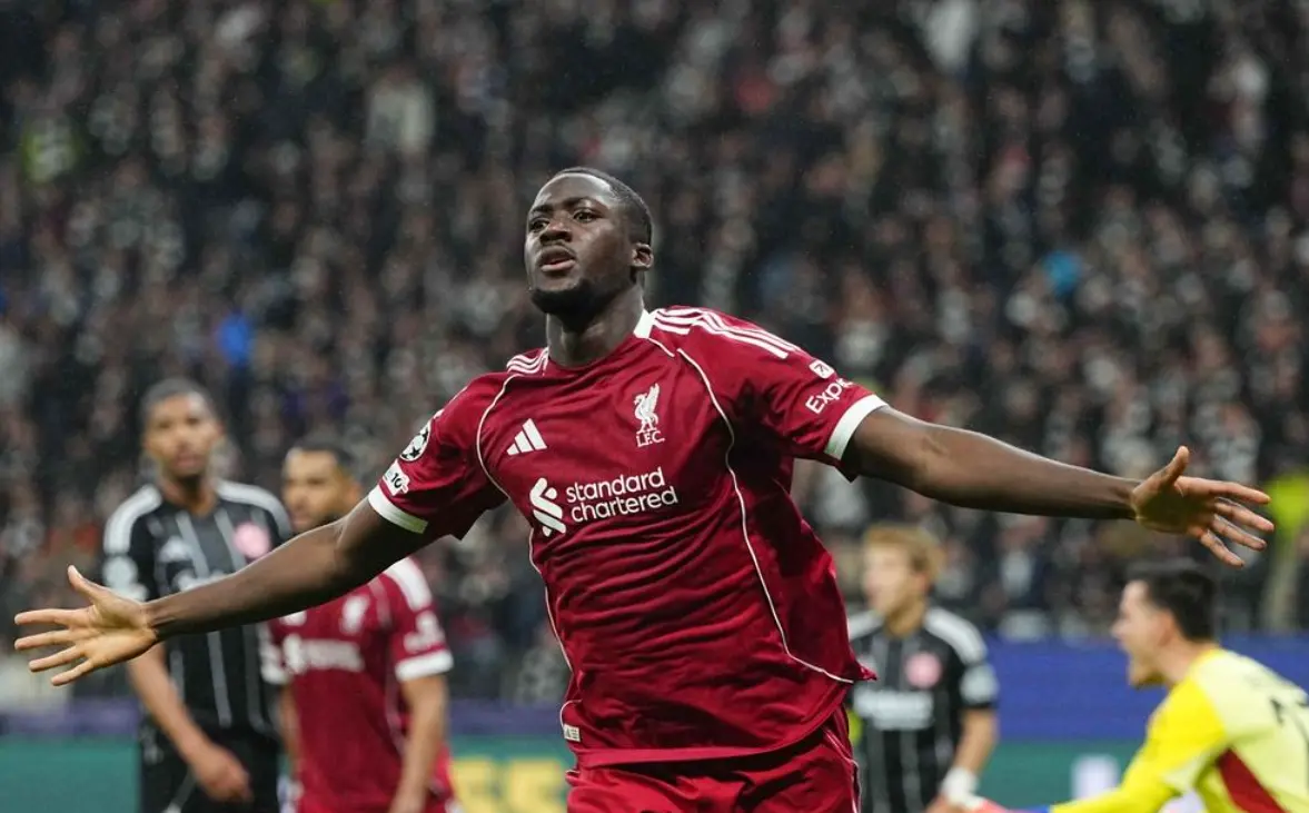 彻底杀死比 彻底杀死比